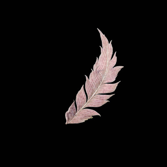 Feather Bespoke Brooch-Silk Brooch(Ronghua)